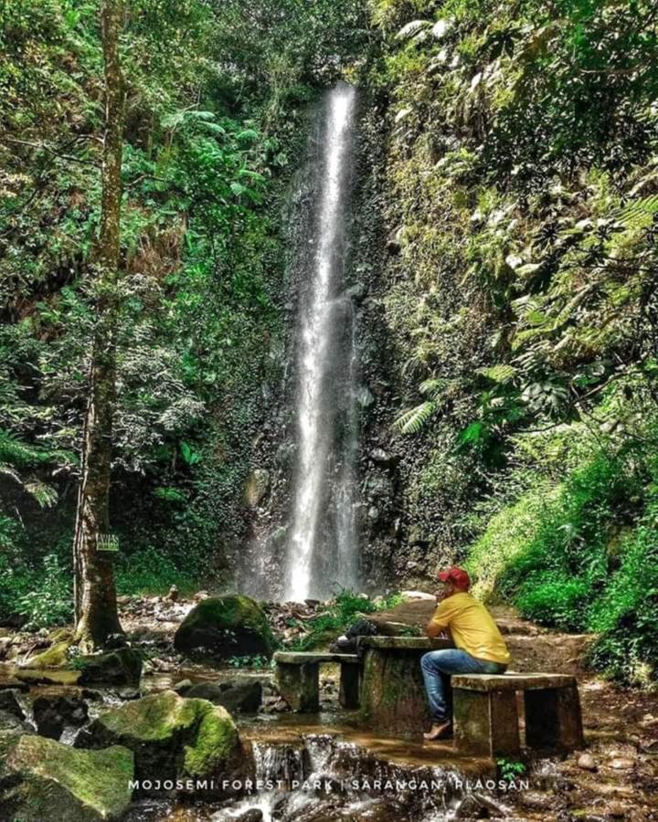 Lawu Forest Camp Sarangan Exterior foto